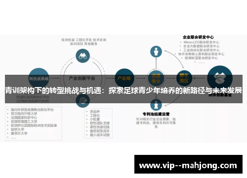 青训架构下的转型挑战与机遇:探索足球青少年培养的新路径与未来发展 青训架构下的转型挑战与机遇:探索足球青少年培养的新路径与未来发展