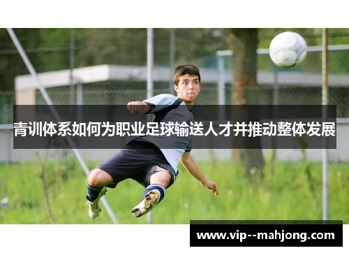 青训体系如何为职业足球输送人才并推动整体发展 青训体系如何为职业足球输送人才并推动整体发展