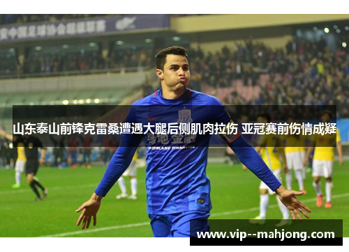 山东泰山前锋克雷桑遭遇大腿后侧肌肉拉伤 亚冠赛前伤情成疑